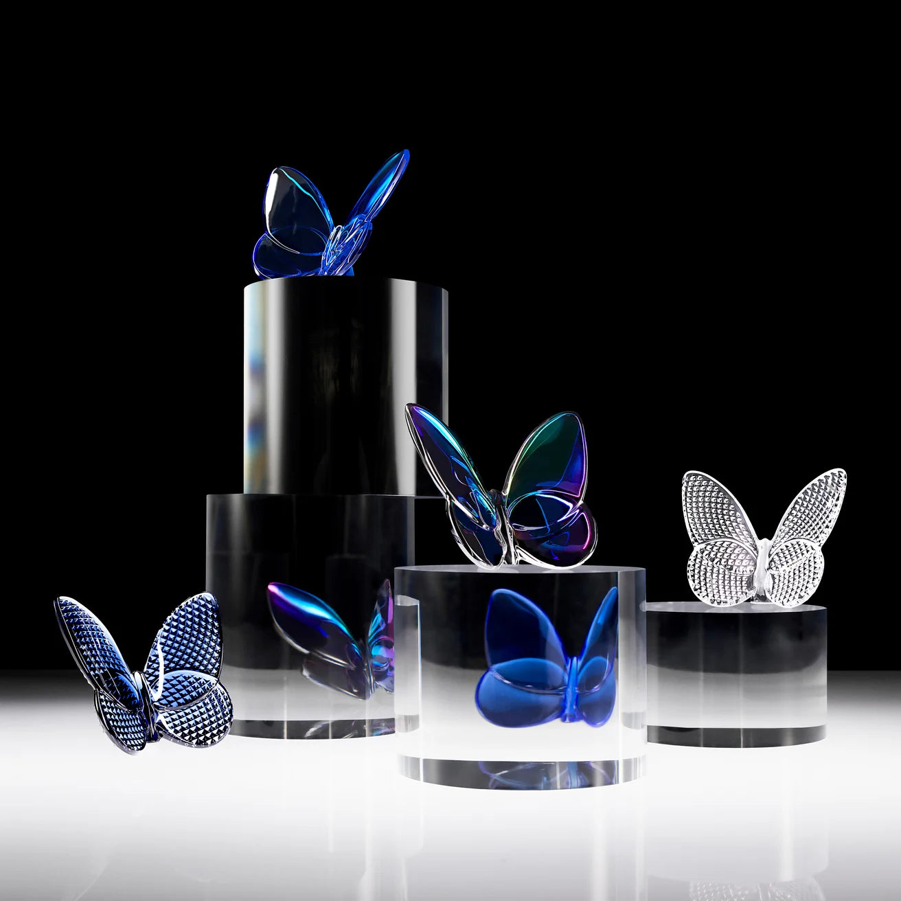 Papillon Lucky Iridescent