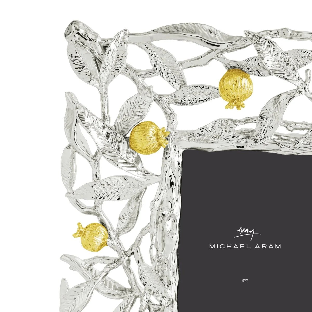 Pomegranate Silver & Gold Frame