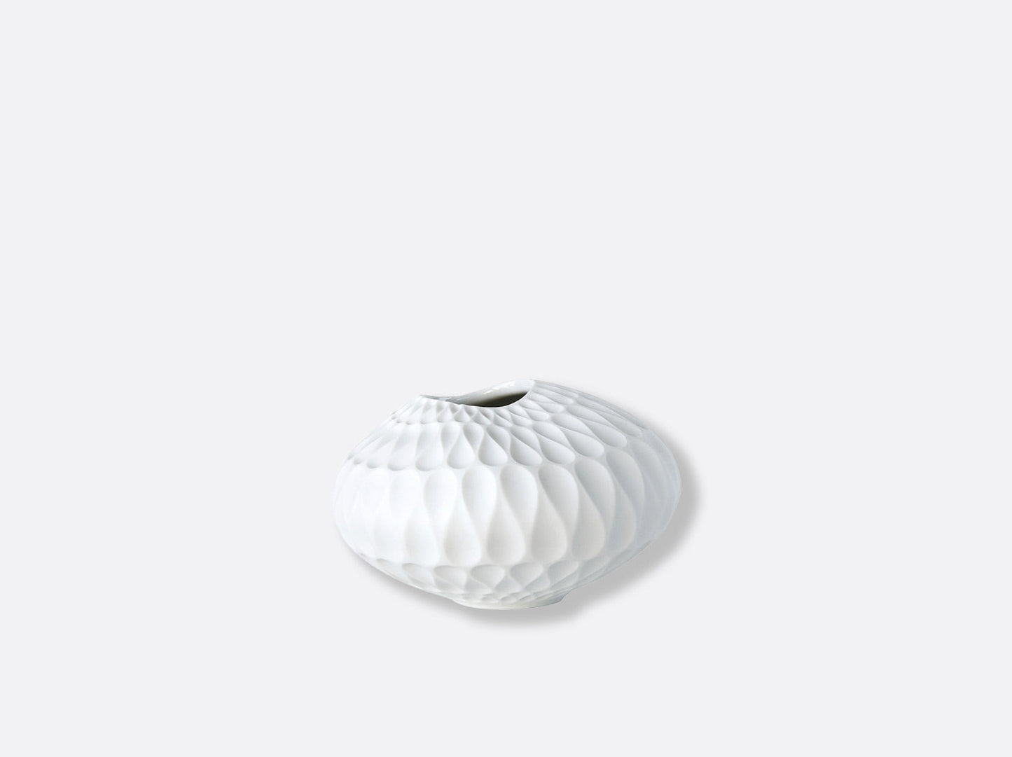 LEGENDE SOLIFLORE ORGANIQUE H.6 CM,