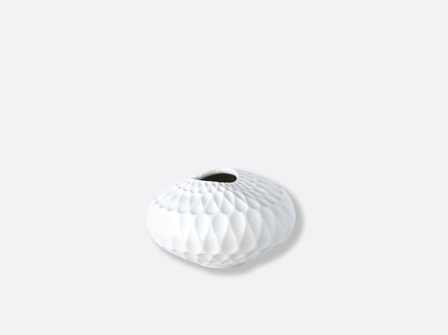 LEGENDE SOLIFLORE ORGANIQUE H.6 CM,