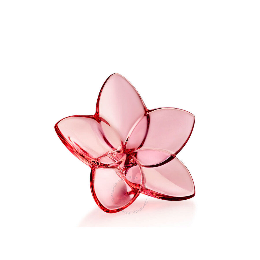 The Bloom Collection Pink Bloom