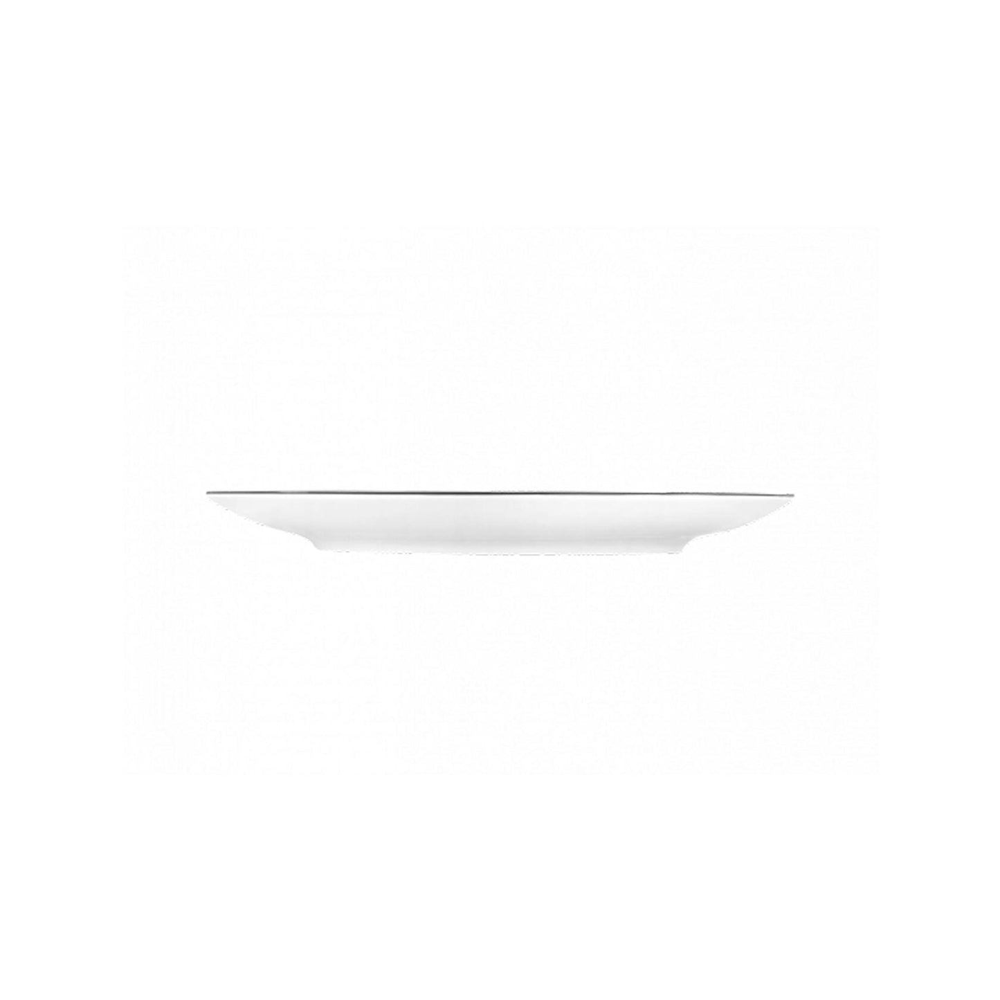 Arcadia Aquamarina Charger Plate