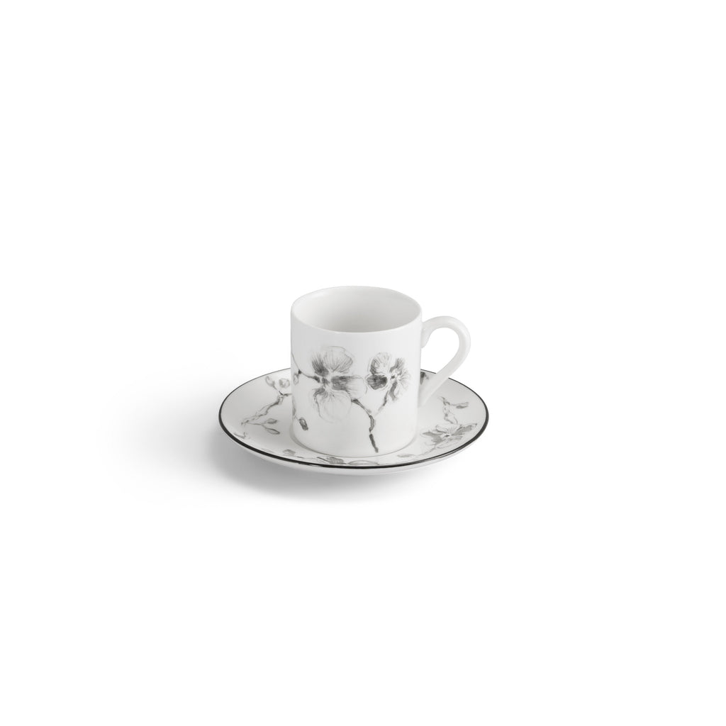 Coffee pot & demitasse set for 4 person