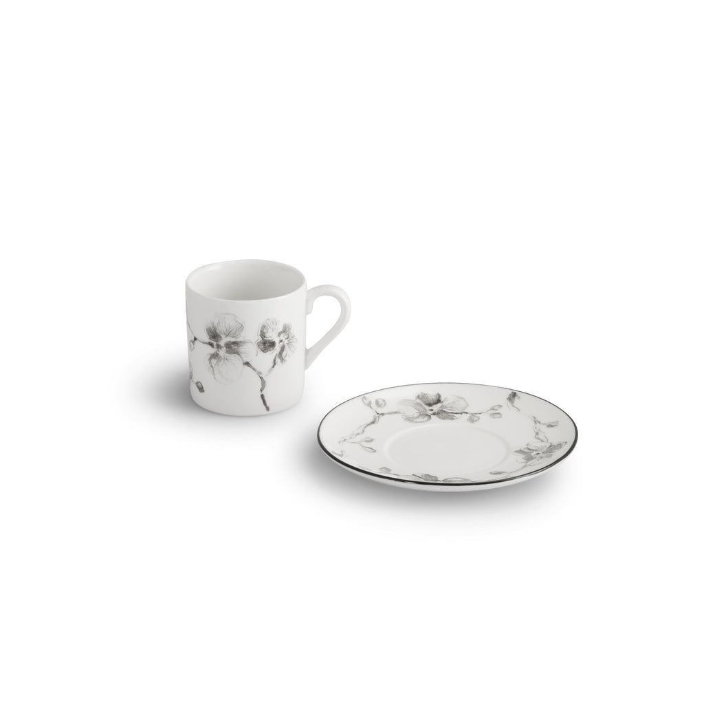 Coffee pot & demitasse set for 4 person