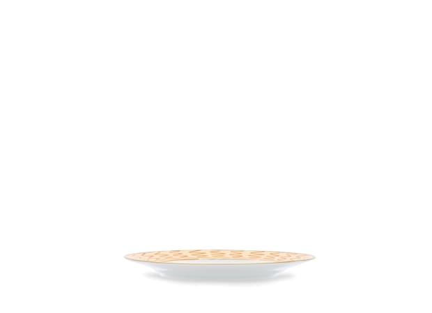 Il viaggio di Nettuno Terracotta Flat Plate