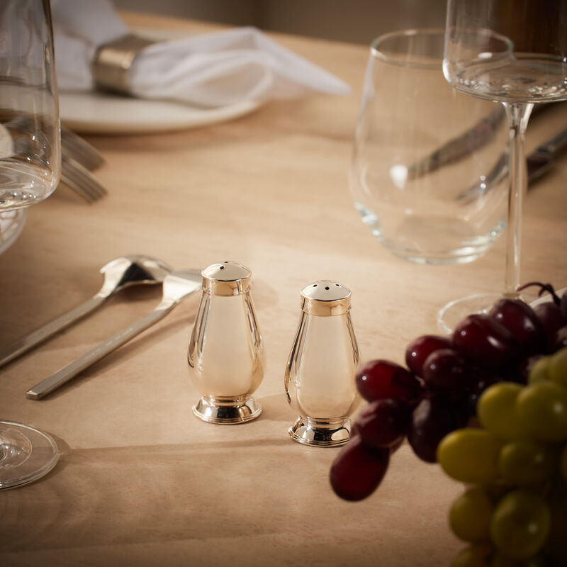 Albi Silver-Plated Salt & Pepper Shaker Set