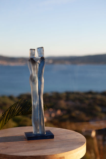 Evidence de Laurence Bonnel