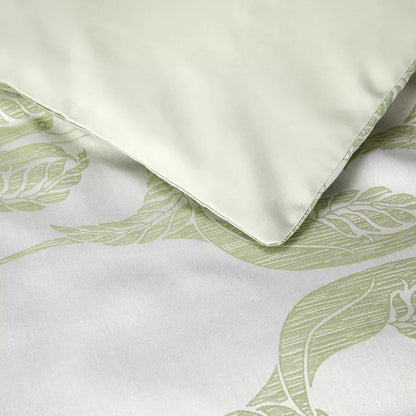 Complice Parru Bed Collection