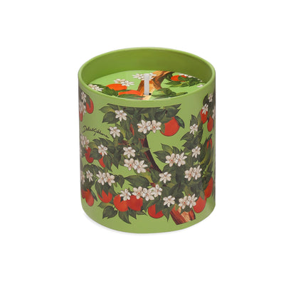 Scented Candle Dolce & Gabbana Casa CARRETTO