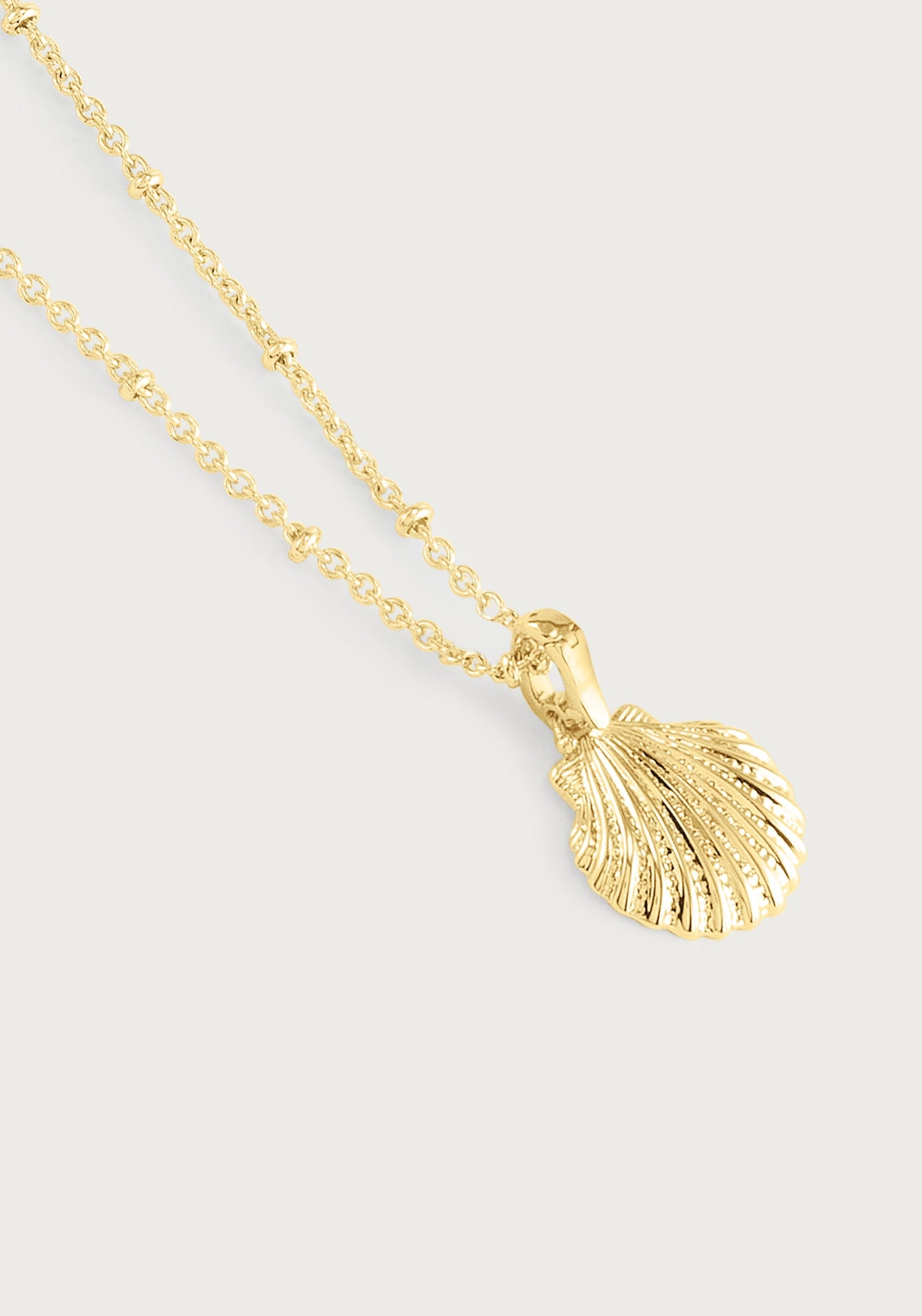 Milos Shell Locket Charm