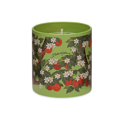 Scented Candle Dolce & Gabbana Casa CARRETTO