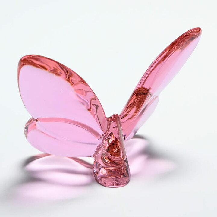 Papillon Porte -Bonheur Rose