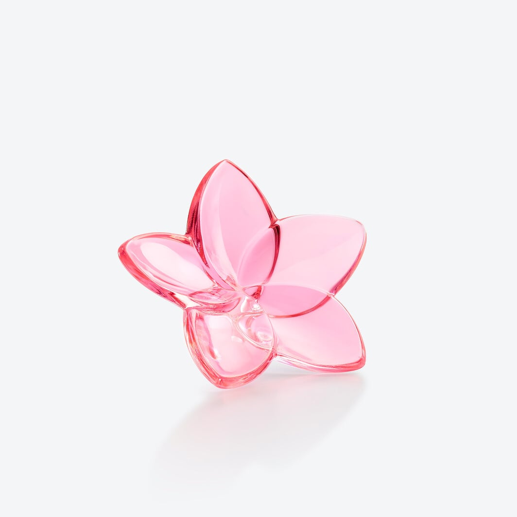 The Bloom