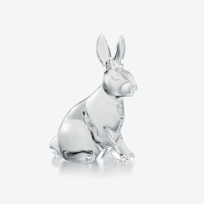Zodiac Clear Rabbit 2023