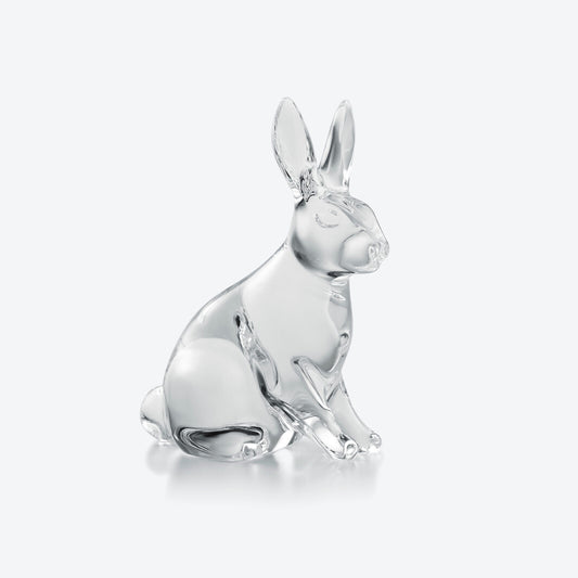 Zodi- Clear Rabbit 2023