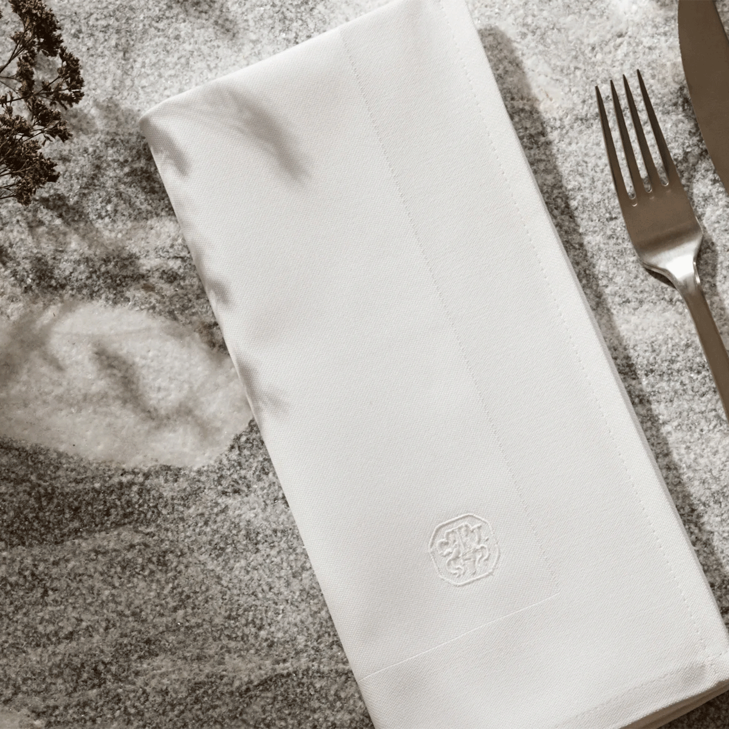 Set of 2 Napkins