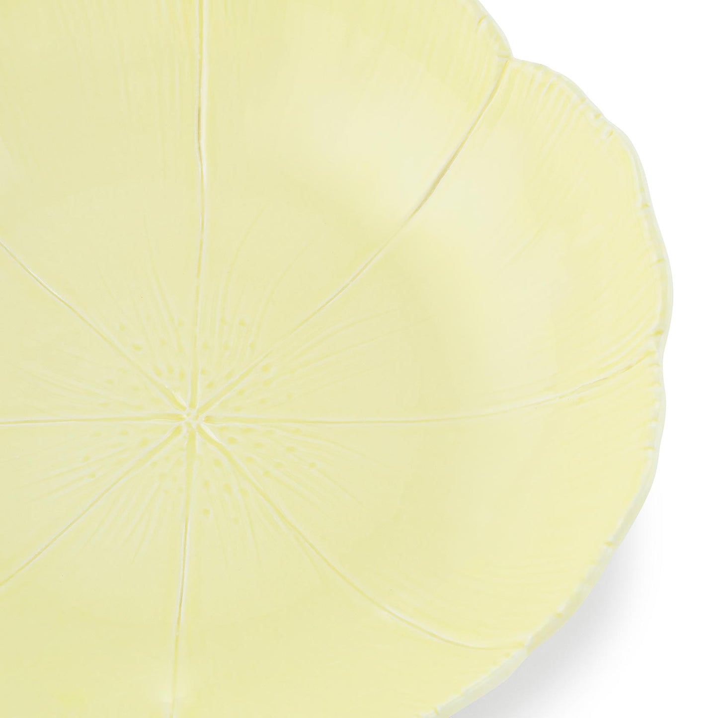 Cherry Blossom Set of 2 Pasta Bowl