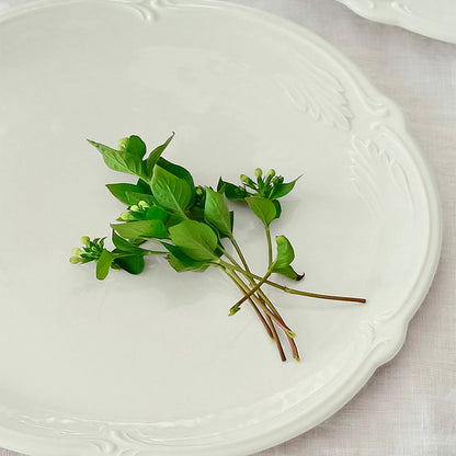 Ռոքեյլ սպիտակ տորթի սկուտեղ