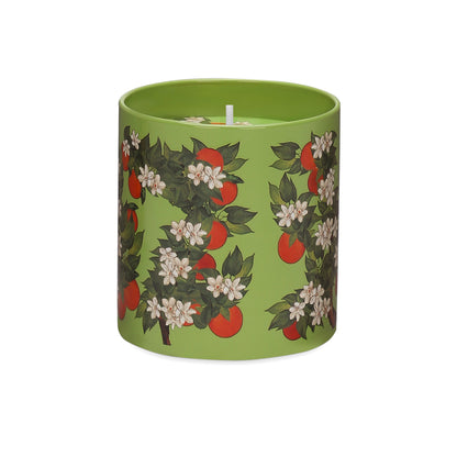 Scented Candle Dolce & Gabbana Casa CARRETTO