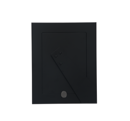 Stainless Steel Picture Frame