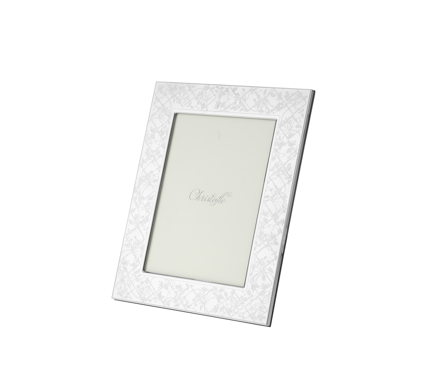 Stainless Steel Picture Frame
