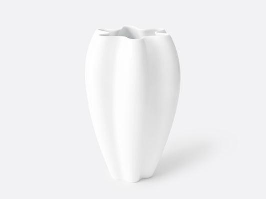 Domani Marco Mencacci