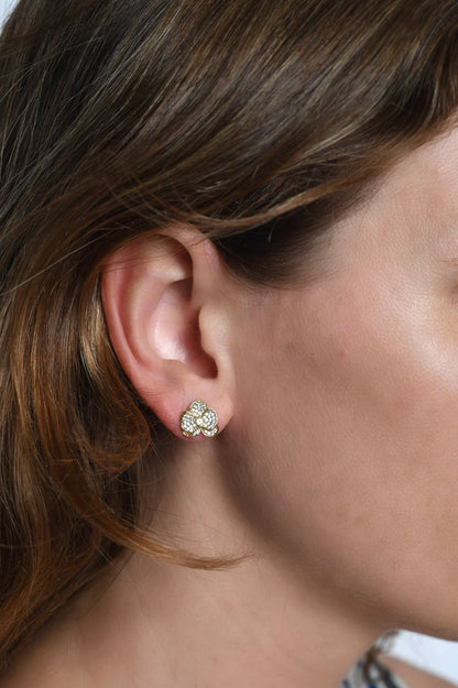 Սպիտակ խոլորձե սալիկներ, ոսկեգույն