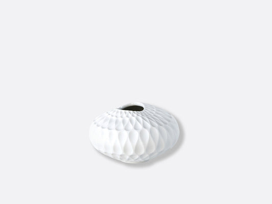 LEGENDE SOLIFLORE ORGANIQUE H.6 CM,