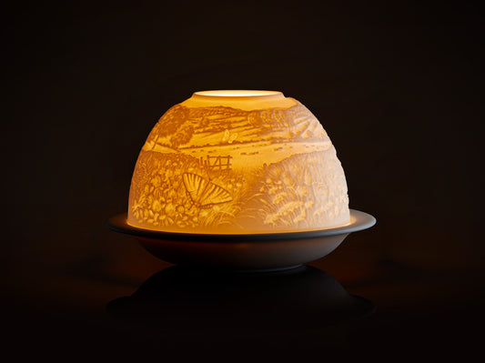 Թիթեռի լույս