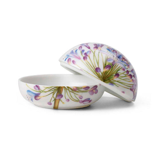 Spring  Bonbonniere Agapanthus