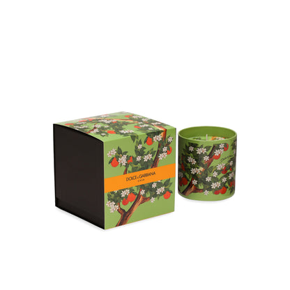 Scented Candle Dolce & Gabbana Casa CARRETTO
