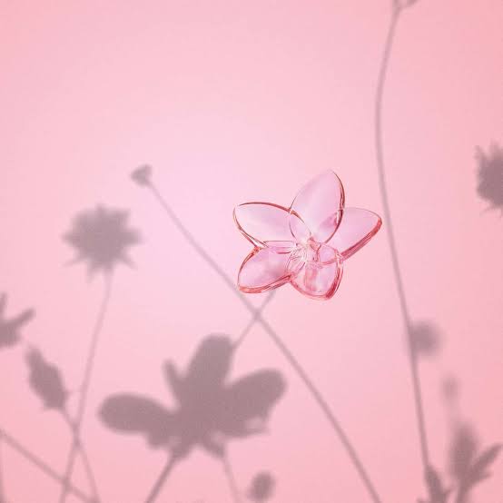 The Bloom