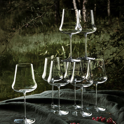 1er Cru  Set of 2 Wine Glasses