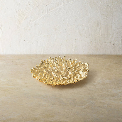 Dahlia Զարդաման/Դեկոր