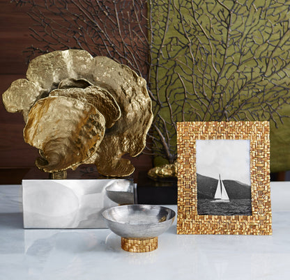 Palm Նկարի շրջանակ