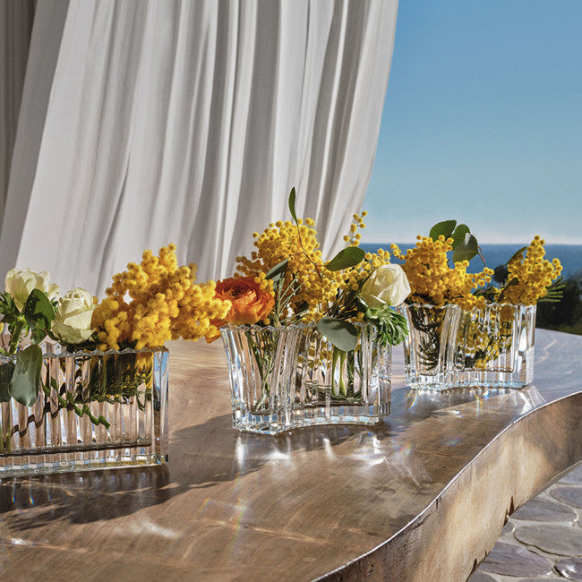 Mille  Nuits Infinite #1