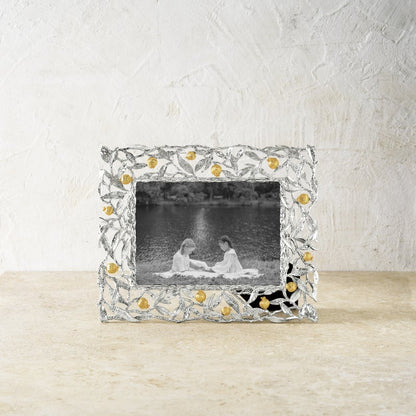 Pomegranate Silver & Gold Frame