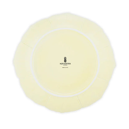 Set of 2 Dinner Plates