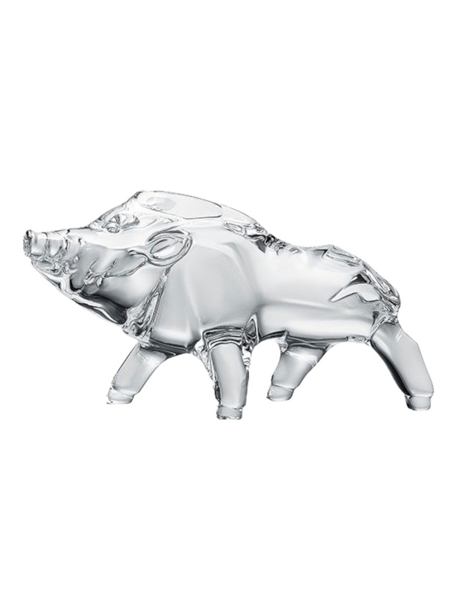 Zodi -Clear Boar 2019
