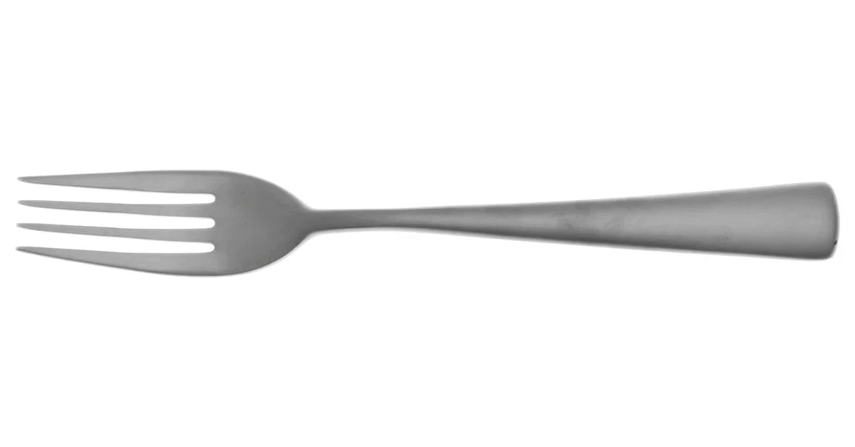Elementaire mat dinner fork  stainless steel