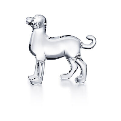 Zodiaque Dog 2018