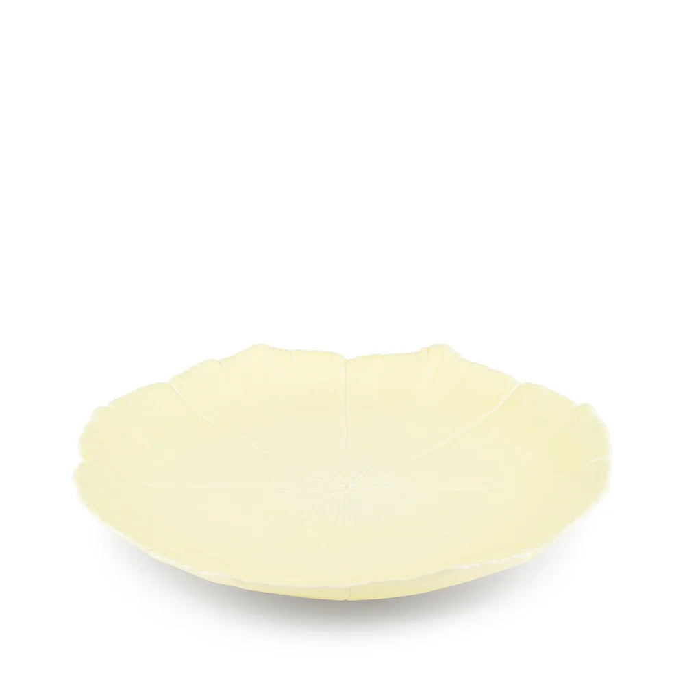 Set of 2 Dinner Plates