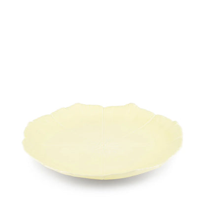 Set of 2 Dinner Plates