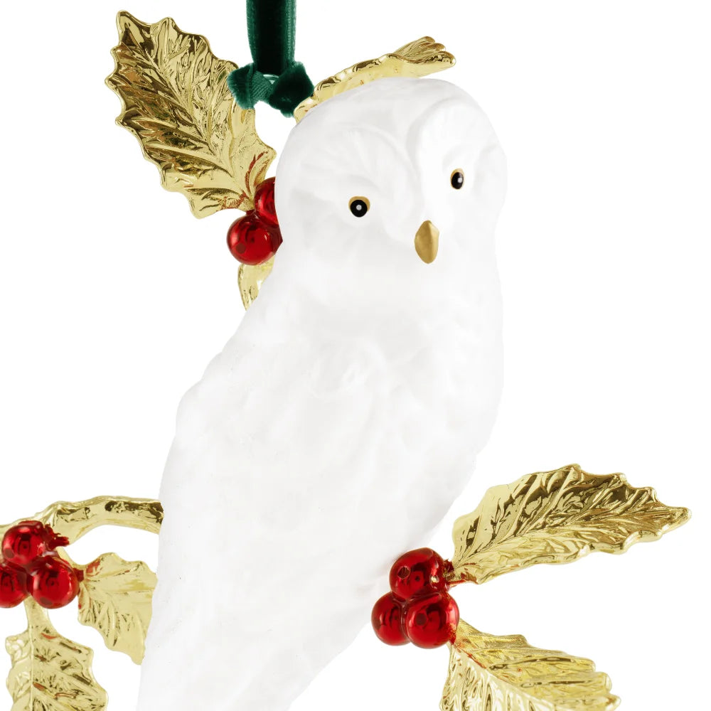 Ornament Snow Oul