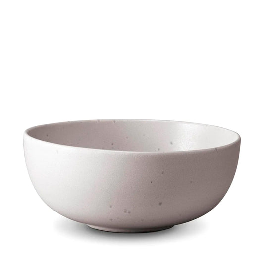 Terra Ramen Bowl